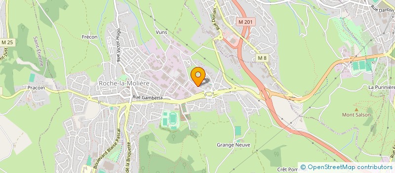 localisation de l'entreprise SAS JOUVE  AUREC-SUR-LOIRE