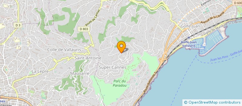 localisation de l'entreprise SAS LA VIALLIERE à VALLAURIS