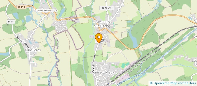 localisation de l'entreprise SAS LE NOUVEAU MARAICHER  CHAVANNES-SUR-L'ETANG