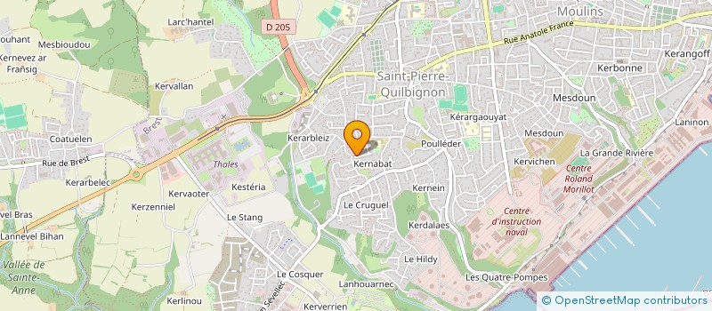 localisation de l'entreprise SAS LE P'TIT MITRON  BREST