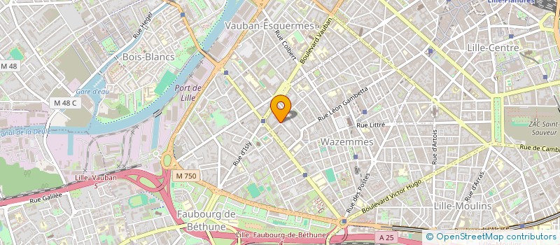 localisation de l'entreprise SAS LEAN  LILLE