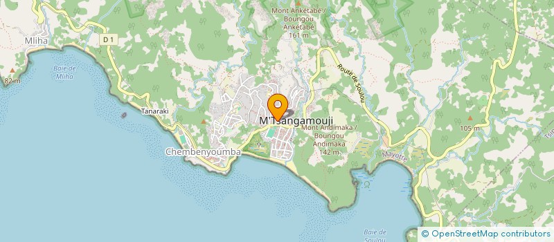 localisation de l'entreprise SAS M CONSEIL à M'TSANGAMOUJI
