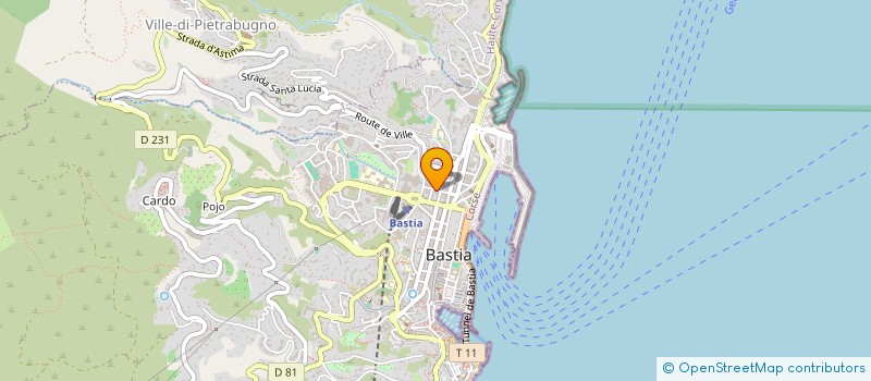localisation de l'entreprise SAS MAD MONKEYS CONSULTING à BASTIA