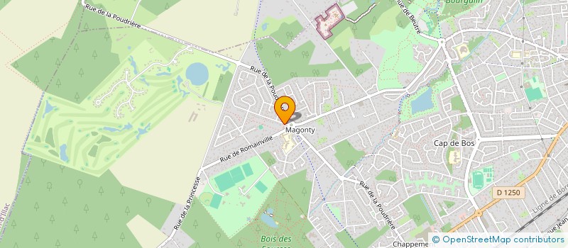 localisation de l'entreprise SAS MAGONTY MARKET  PESSAC