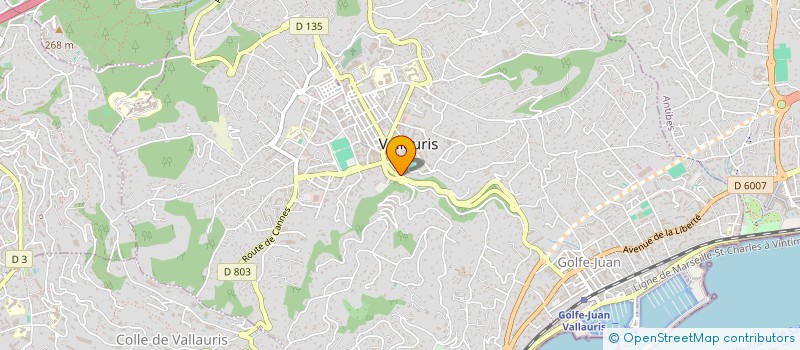 localisation de l'entreprise SAS MARI-GASS à VALLAURIS