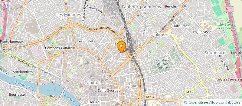 localisation de l'entreprise SAS MARINE LE RAY  TOULOUSE