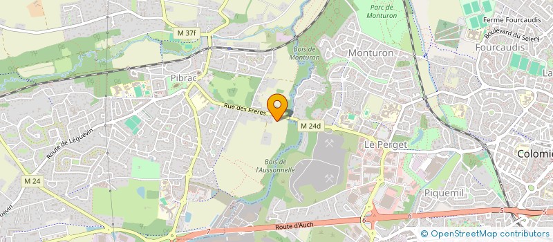 localisation de l'entreprise SAS MN INVEST  PIBRAC