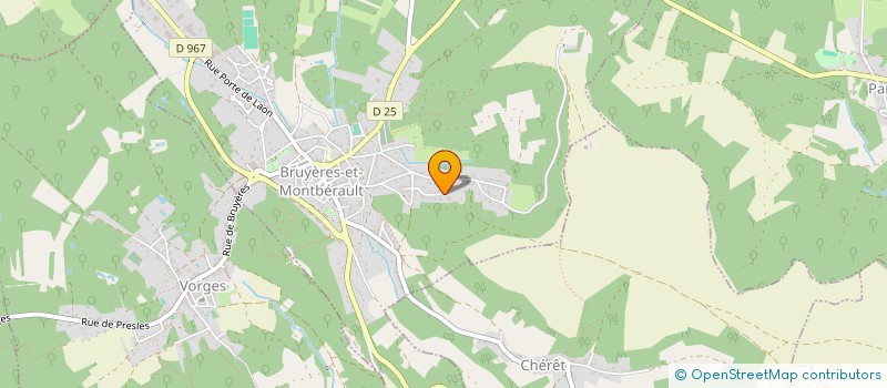 localisation de l'entreprise SAS MONTAIN & CO à BRUYERES-ET-MONTBERAULT
