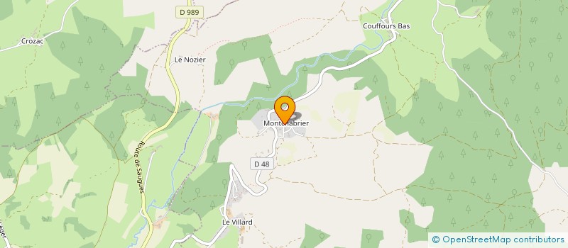 localisation de l'entreprise SAS MS2B IMMO à LE MALZIEU FORAIN