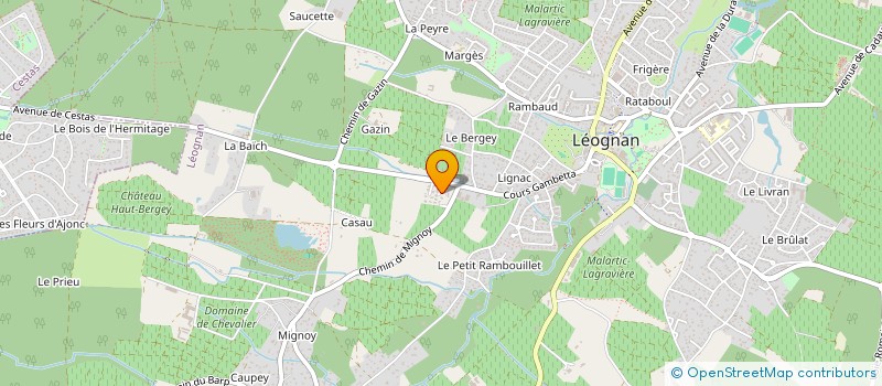 localisation de l'entreprise SAS MSBR  LEOGNAN