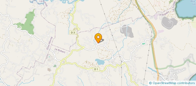 localisation de l'entreprise SAS NEW FOX  LE ROBERT