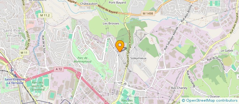 localisation de l'entreprise SAS NORBERT DE OLIVEIRA  SAINT-ETIENNE