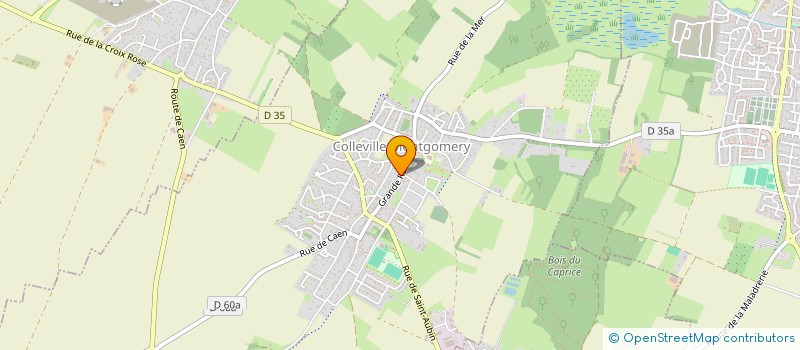 localisation de l'entreprise SAS O FLEURS DE NATH  COLLEVILLE-MONTGOMERY