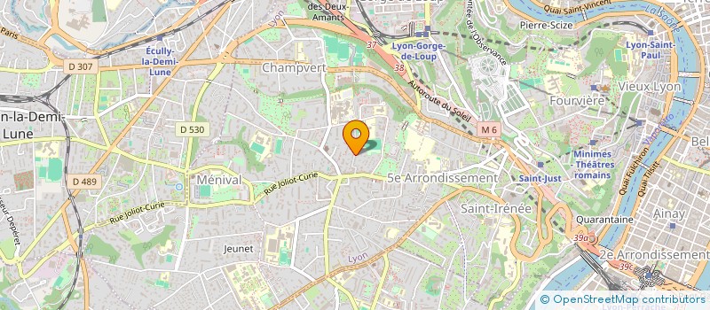 localisation de l'entreprise SAS PAJ INVEST  LYON