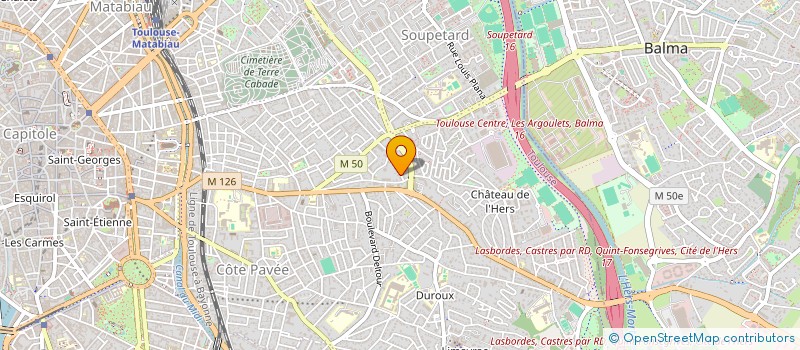 localisation de l'entreprise SAS PALAYRE à TOULOUSE