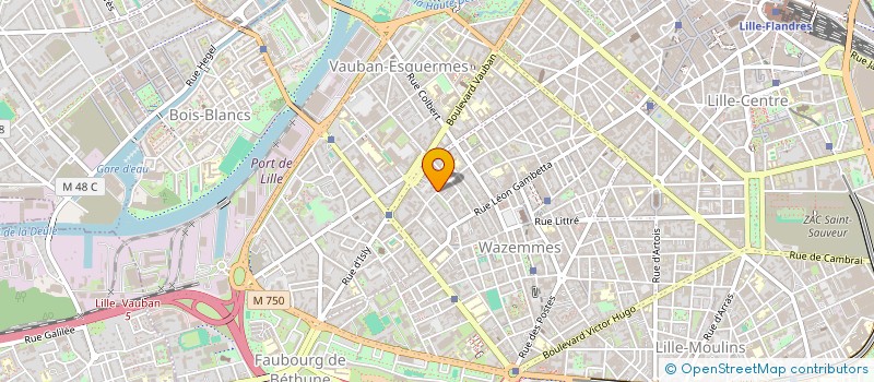localisation de l'entreprise SAS RAAN MARKET à LILLE