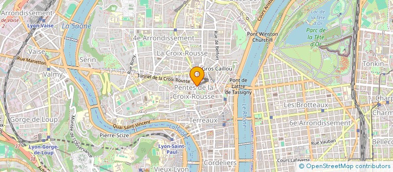 localisation de l'entreprise SAS REMOULINS à LYON