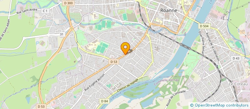 localisation de l'entreprise SAS RM DIS & CO  ROANNE