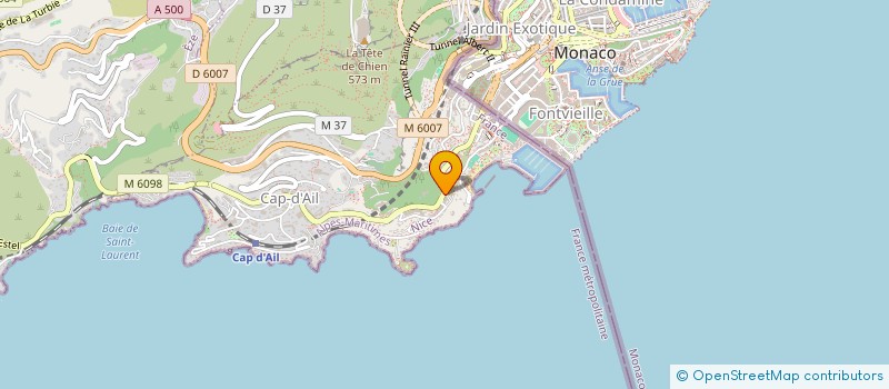 localisation de l'entreprise SAS ROYAL SERVICES  CAP-D'AIL