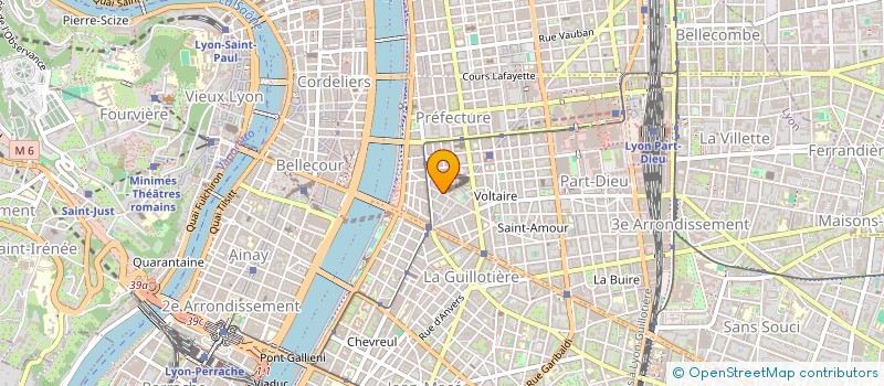 localisation de l'entreprise SAS SHOHANA  VILLEURBANNE