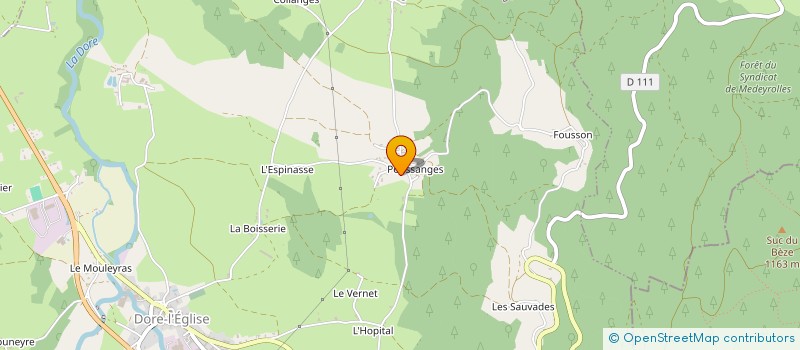 localisation de l'entreprise SAS SYLVAIN LENNE  DORE-L EGLISE