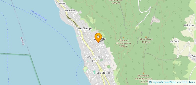 localisation de l'entreprise SAS VIUZ PRO IMMO  VEYRIER-DU-LAC