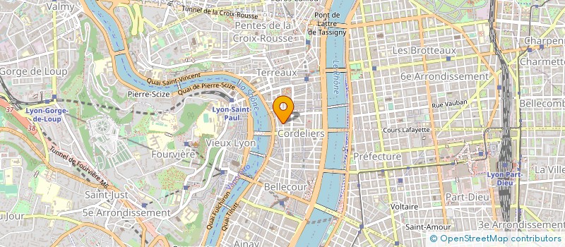 localisation de l'entreprise SAS VORONINA à LYON