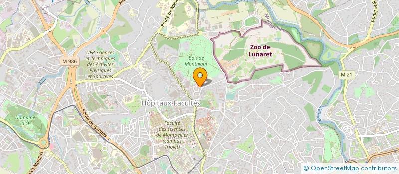 localisation de l'entreprise SASON ET CIE à MONTPELLIER