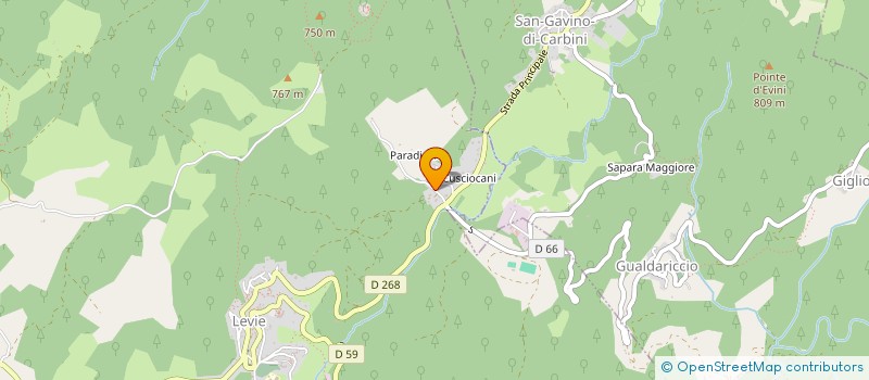 localisation de l'entreprise SASU ALTARCHI à LEVIE