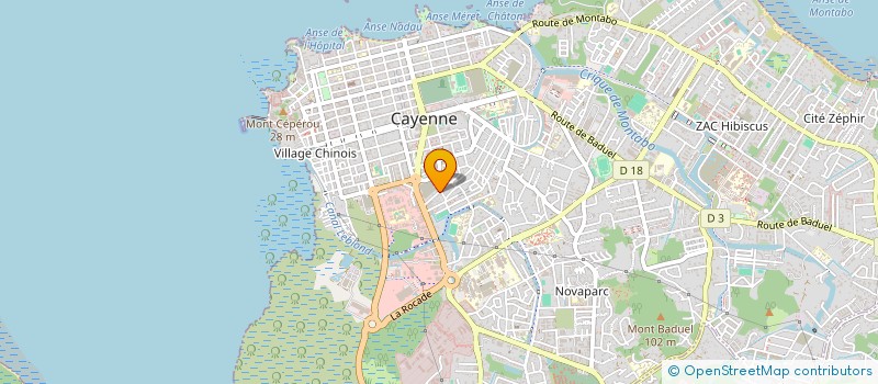 localisation de l'entreprise SASU AUTO OTOP  CAYENNE