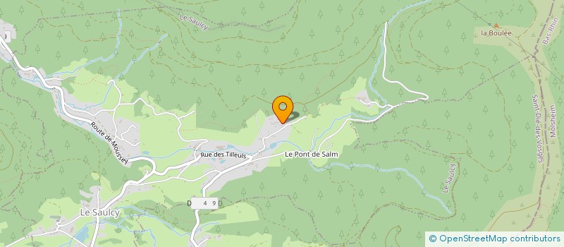 localisation de l'entreprise SASU AUX P'TITES PAPILLES DE RODSYL  LE SAULCY