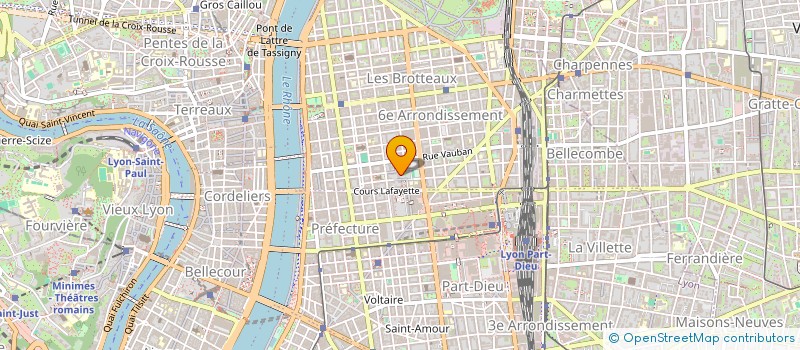 localisation de l'entreprise SASU DM VENDOME  LYON