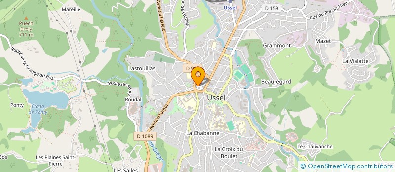 localisation de l'entreprise SASU DOMINIQUE DIEUZEDE  TULLE