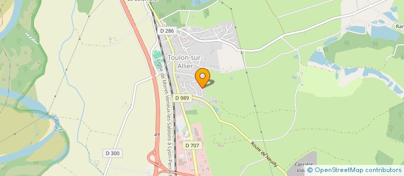 localisation de l'entreprise SASU DU BOIS AU VERT  TOULON-SUR-ALLIER