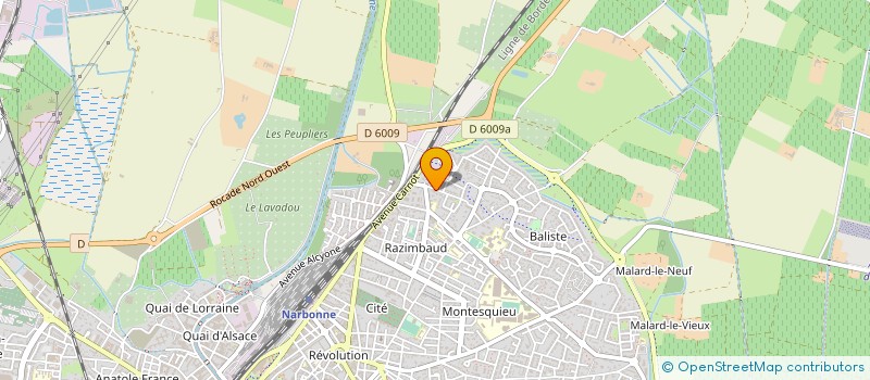 localisation de l'entreprise SASU GOOD CHOICE  NARBONNE