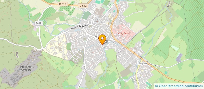 localisation de l'entreprise SASU LES PETITES MAINS  THUIR