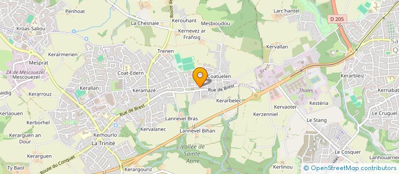 localisation de l'entreprise SASU LIMEO TAXI  PLOUZANE