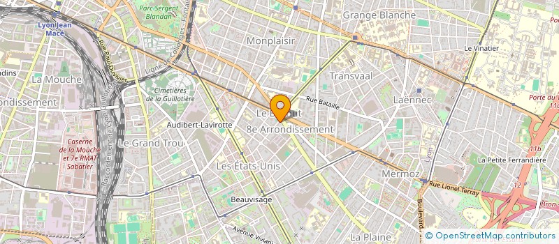 localisation de l'entreprise SASU N.FLEX TRANSPORTS ET MULTISERVICES  LYON