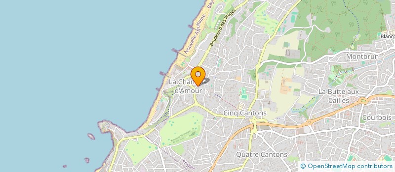 localisation de l'entreprise SASU OCEANIC IMMO  ANGLET