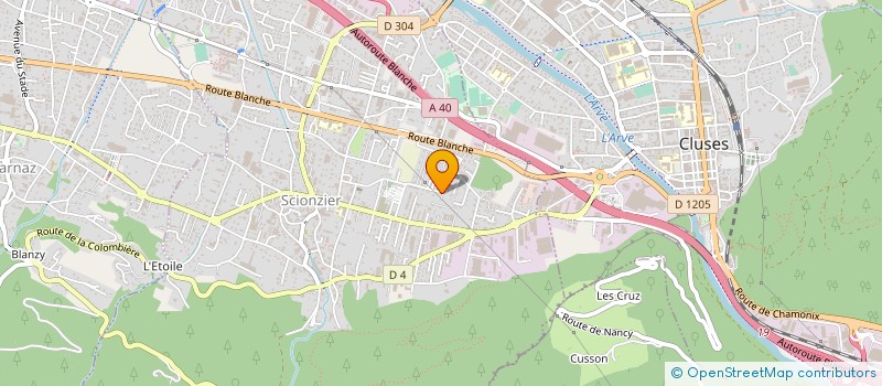 localisation de l'entreprise SASU RPM 19  SCIONZIER