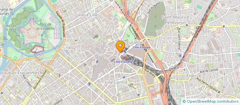 localisation de l'entreprise SASU RUE DES BUISSES à LILLE