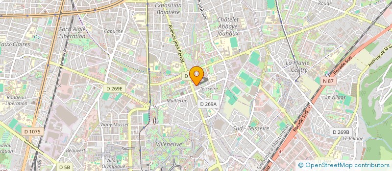 localisation de l'entreprise SASU SALON DE THE JONI  GRENOBLE