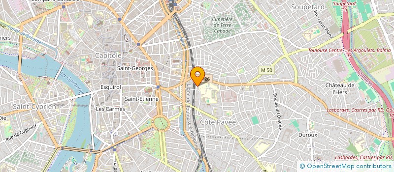 localisation de l'entreprise SASU SERGAU  TOULOUSE