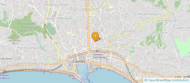 localisation de l'entreprise SASU SERGE LUFFRAY DURAND à CANNES