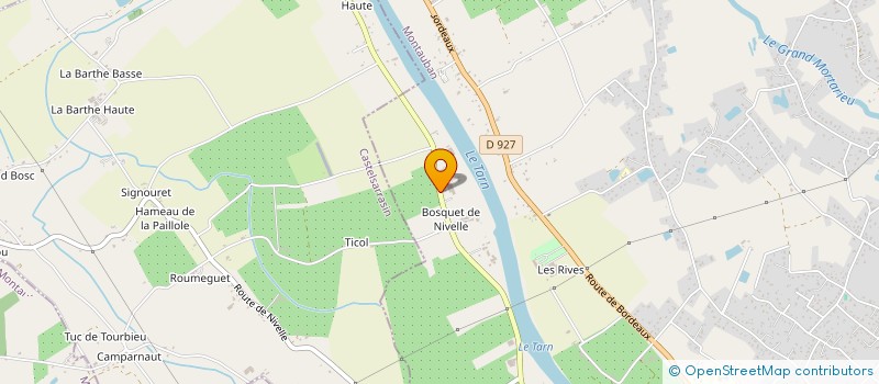 localisation de l'entreprise SASU TGO TRANSPORTS  MONTAUBAN