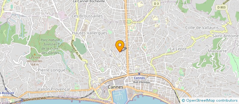 localisation de l'entreprise SATET CAMEROUN à CANNES