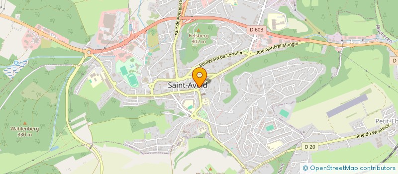 localisation de l'entreprise SATINE RETAIL  SAINT-AVOLD