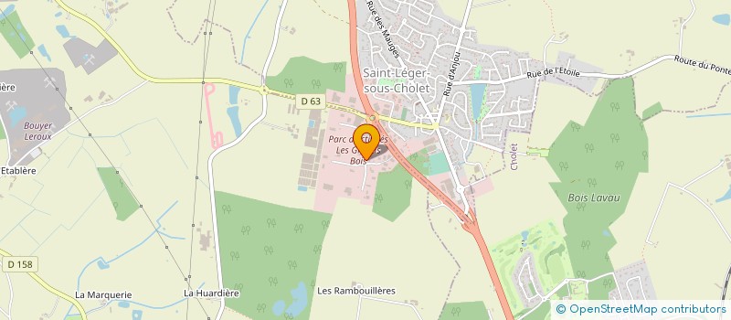 localisation de l'entreprise SATINUM  SAINT-LEGER-SOUS-CHOLET