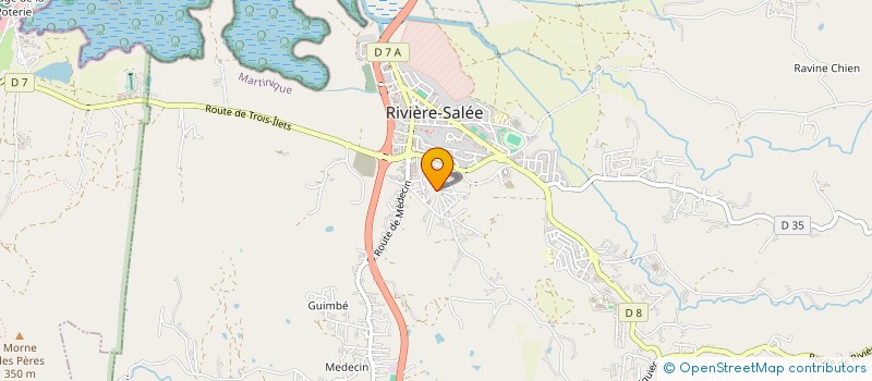 localisation de l'entreprise SATREX SARL  RIVIERE-SALEE