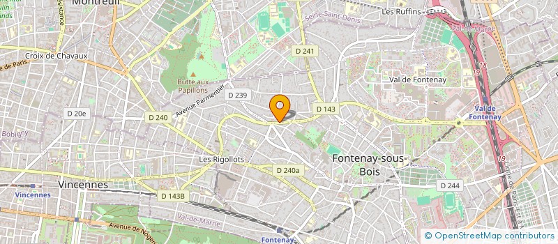 localisation de l'entreprise SATSUMA IMMO  FONTENAY-SOUS-BOIS